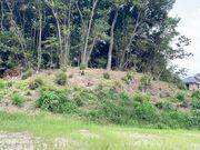 mi̎jՋvÐÕQ̓eʐ^2