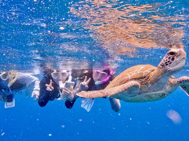 �E�~�K����_South Blue