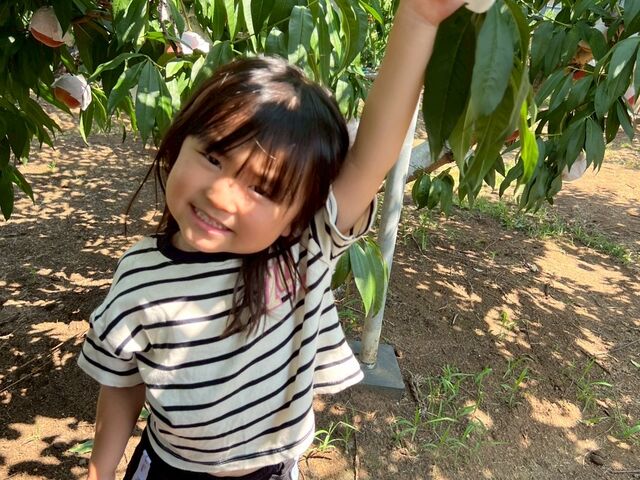 �g��100�p�ł��Ƃǂ��܂��I(��̕������n�݂����ł����@��)_��ԉ�