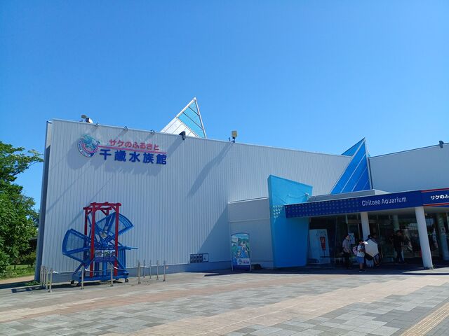 ������_�T�P�̂ӂ邳�Ɛ�ΐ�����