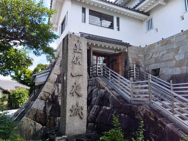 �n������_�n������