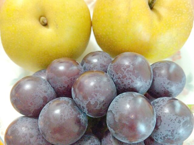 �S�����X�����Â������ł��B
�����������������܂����B_FRUIT PARK YOKOHAMA�@�Ō��ʎ���