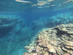 킩߂̐Ί_ ADVENTURE PiPiւ̓eʐ^1