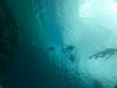 JgP̐Ί_ ADVENTURE PiPiւ̓eʐ^1