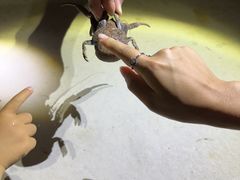 ܂񂳂OCEAN LIFEւ̓eʐ^3