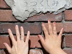 䂣utsukushimi RXւ̓eʐ^1