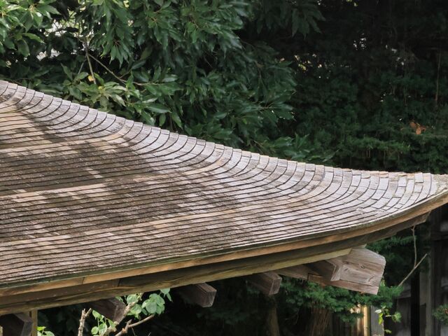 i؉Hj_wdv n糓@@y_̊فz