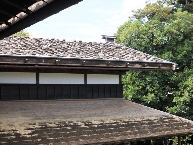 ƐΒu_wdv n糓@@y_̊فz