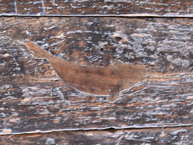 ̐߂⏝B@_wdv n糓@@y_̊فz