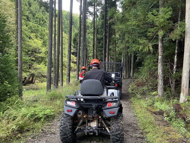 �o�M�[�̍Œ��ł��B_���s�E���k�N���b�h�c�A�[