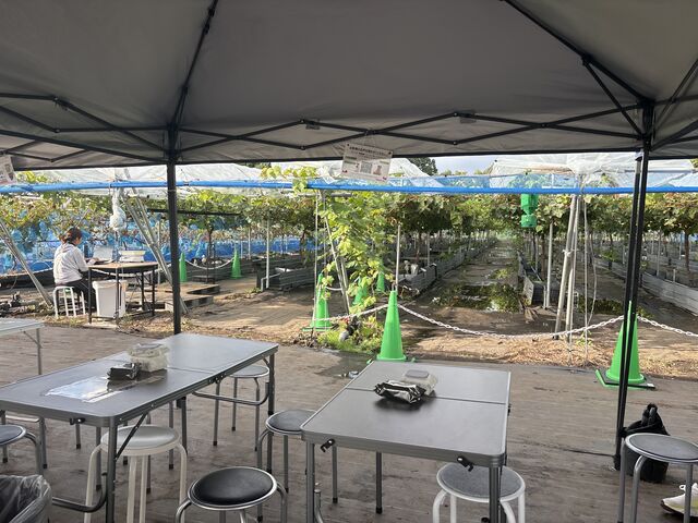 �~�n�̗l�q_�A�O���[���p�[�N �F�s�{�Ԃǂ��̓m