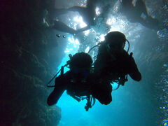 ��������̃n�C�r�X�J�X�ւ̓��e�ʐ^1