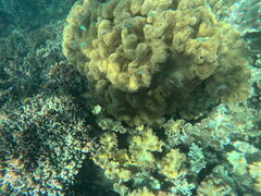 ₳̃_CrOVbvTI.OCEANւ̓eʐ^1