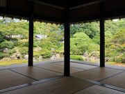 Ƃ񂳂̍wdv n糓@@y_̊فz̓eʐ^3