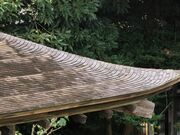 Ƃ񂳂̍wdv n糓@@y_̊فz̓eʐ^4