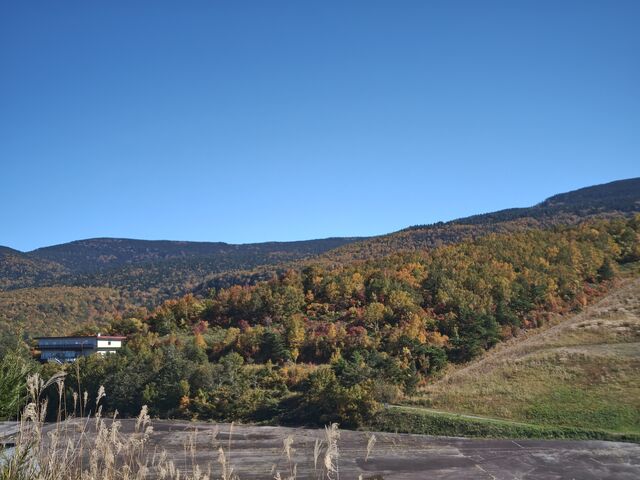 ���[�v�E�F�C�ŏオ�������ł��B��̏��ł͏����Âg�t�͎n�܂��Ă��܂���
_�V���䃍�[�v�E�F�C