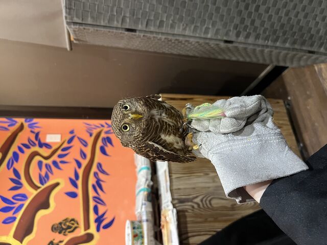 w ؂ x łIzĂӂ낤菬߂ŉłI_ANAtHXg@-̐X-