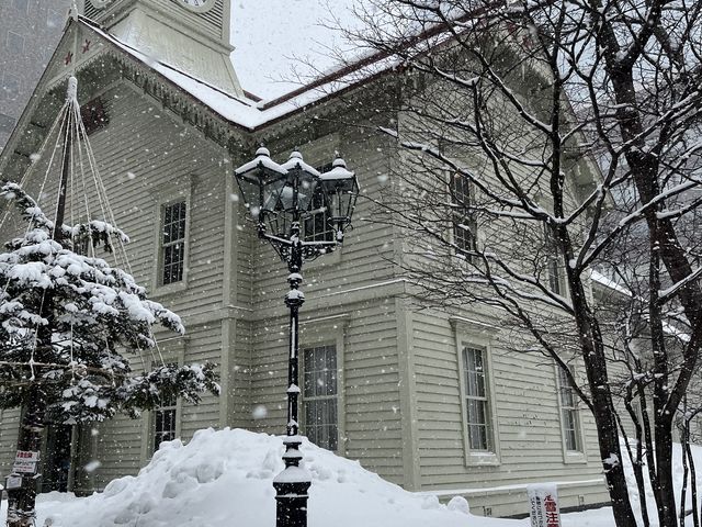 �~�̎��v��_�D�y�s���v��