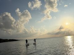 NATURE SHOP PAO̎ʐ^1