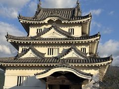 �Ƃ�ɂ�񂳂�̉F�a����ւ̓��e�ʐ^1