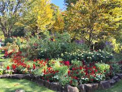 EJX^ i` q[O K[f̎ʐ^2