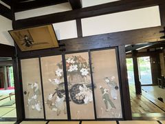 �݂�݂񂳂�̊p�ٕ��Ɖ��~�ʂ�ւ̓��e�ʐ^1