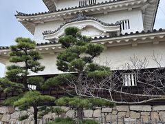 �Ƃ�ɂ�񂳂�̊ۋT��ւ̓��e�ʐ^1