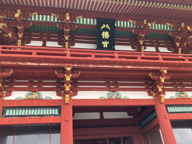 �R�̒����ɂ��т���{�a�B_�i��