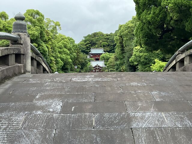 ���苴�̌������ɖ{�a�������Ă��܂����B_�i��