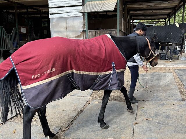 ���߂܂��Ẵ��u�����I
_OISO�@��n�@�N���u