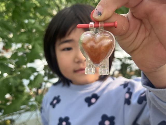 n[ǧ`̃g}gnĂ炢܂B_{_