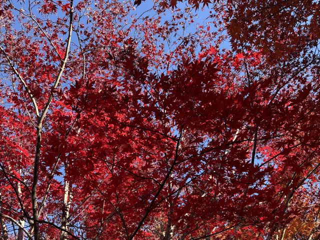 ���ԏꂷ�����΂ɂ���g�t�X�|�b�g�ł��B_�ؑ��ό��݂���