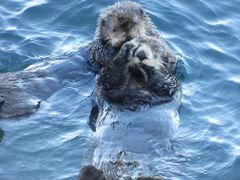 tHgcA[~KEARASHI~̎ʐ^2