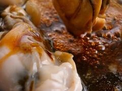 ZNV[NC[݂̓ƂǂT[ _ˎO{Xւ̓eʐ^1