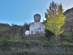 sklfhさんの白馬大仏への投稿写真1