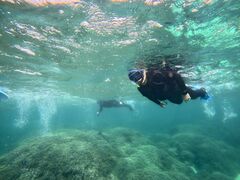 ̂񂳂̐Ί_ ADVENTURE PiPiւ̓eʐ^1