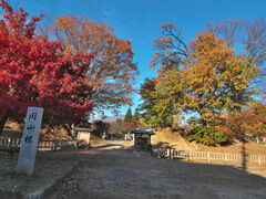 sklfhِ̍Ղւ̓eʐ^1