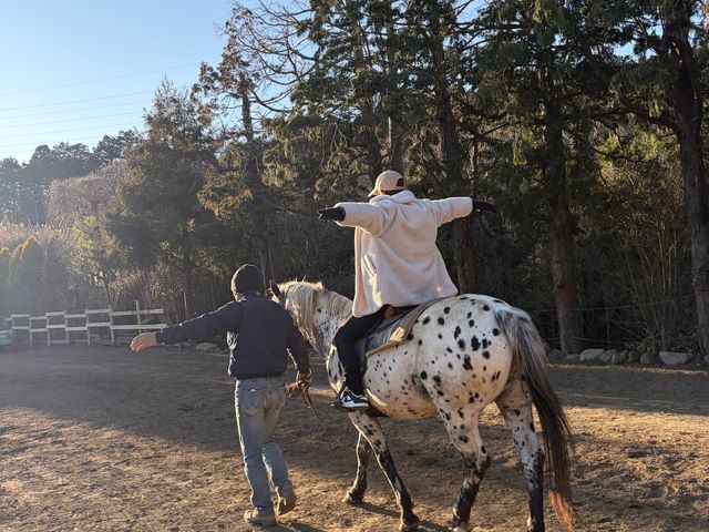 ��n�̌��̏����̑����i_HORSE BASE