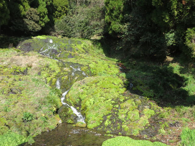 �Ԃ���񂳂�̘V��N���̓��e�ʐ^3