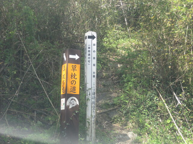 �ē��W_����R