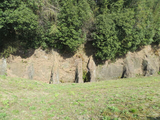 �Ԃ���񂳂�̔n�����̕@����̓��e�ʐ^2