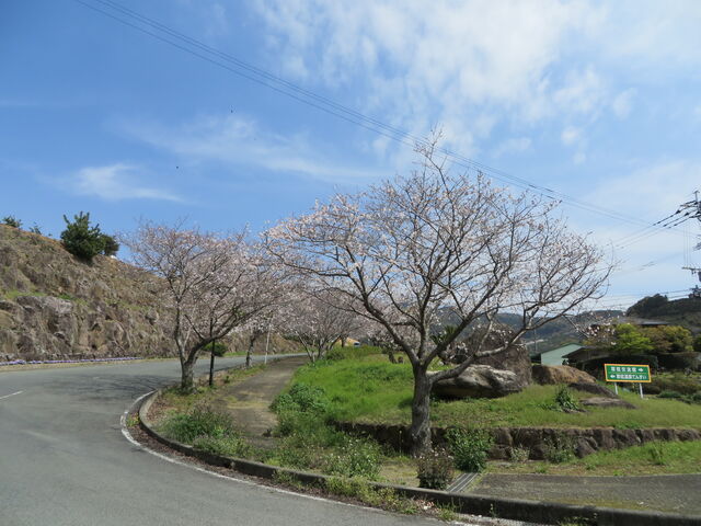 �Ԃ���񂳂�̏��V����̓��e�ʐ^1