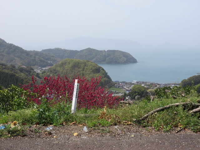 �Ԃ���񂳂�̋����~���Y�̓��e�ʐ^2