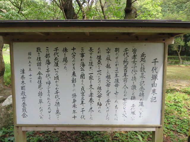 �Ԃ���񂳂�̐��˂̓��e�ʐ^2