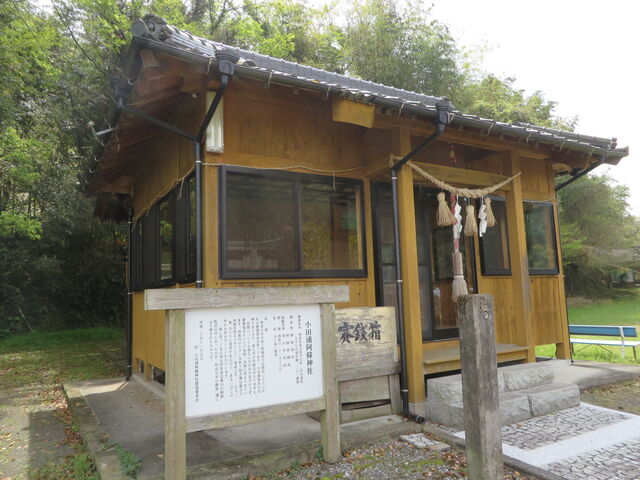 �Ԃ���񂳂�̏��c�Y���h�_�Ђ̓��e�ʐ^2