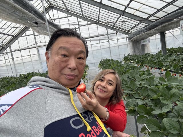 ��l_�Ƃ悳��t�@�[����������