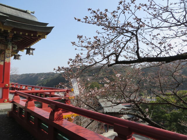 ��_�S����א_�Ђ̍�