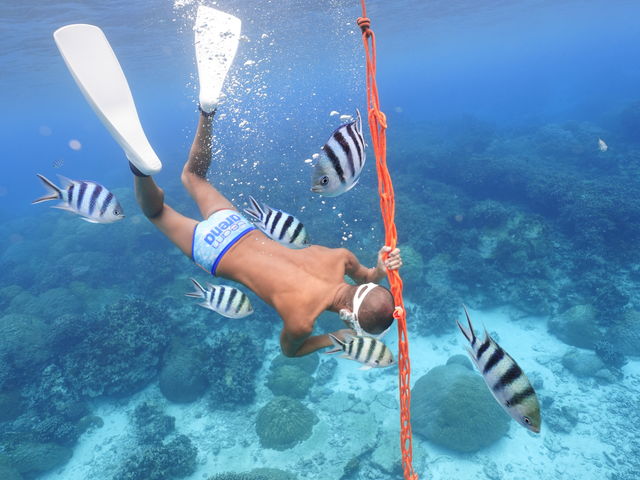 �X�L���_�C�r���O�̎ʐ^�ł�_Lilo Miyakojima