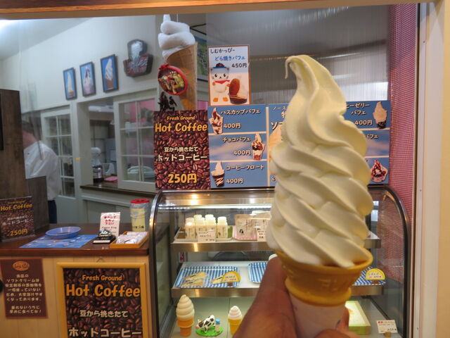 �L������̐芥�E���Â���ό�����̓��e�ʐ^3