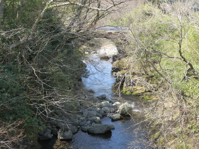 �Ԃ���񂳂�̑�J��̓��e�ʐ^2